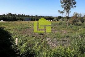 Terreno R�stico - Rio Me�o, Santa Maria da Feira, Aveiro