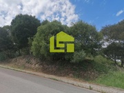 Terreno R�stico - Tavarede, Figueira da Foz, Coimbra - Miniatura: 3/9