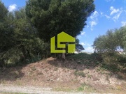 Terreno R�stico - Tavarede, Figueira da Foz, Coimbra - Miniatura: 4/9