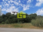 Terreno R�stico - Tavarede, Figueira da Foz, Coimbra - Miniatura: 5/9