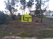 Terreno R�stico - Miranda do Corvo, Miranda do Corvo, Coimbra - Miniatura: 1/9