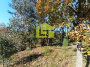 Terreno R�stico - Miranda do Corvo, Miranda do Corvo, Coimbra - Miniatura: 4/9