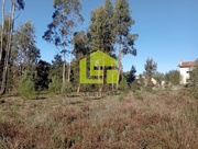 Terreno R�stico - Miranda do Corvo, Miranda do Corvo, Coimbra - Miniatura: 5/9