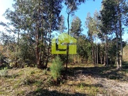 Terreno R�stico - Miranda do Corvo, Miranda do Corvo, Coimbra - Miniatura: 9/9