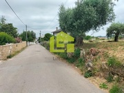 Terreno R�stico - Cernache, Coimbra, Coimbra - Miniatura: 1/9