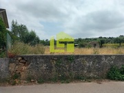 Terreno R�stico - Cernache, Coimbra, Coimbra - Miniatura: 5/9