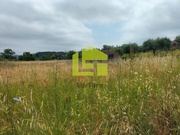 Terreno R�stico - Cernache, Coimbra, Coimbra - Miniatura: 8/9