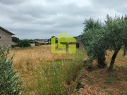 Terreno R�stico - Cernache, Coimbra, Coimbra - Miniatura: 9/9