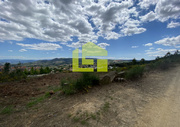 Terreno R�stico - Sabrosa, Sabrosa, Vila Real - Miniatura: 9/9