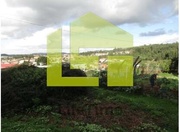 Terreno R�stico - Nogueira da Regedoura, Santa Maria da Feira, Aveiro - Miniatura: 2/9