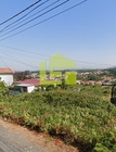 Terreno R�stico - Nogueira da Regedoura, Santa Maria da Feira, Aveiro - Miniatura: 3/9