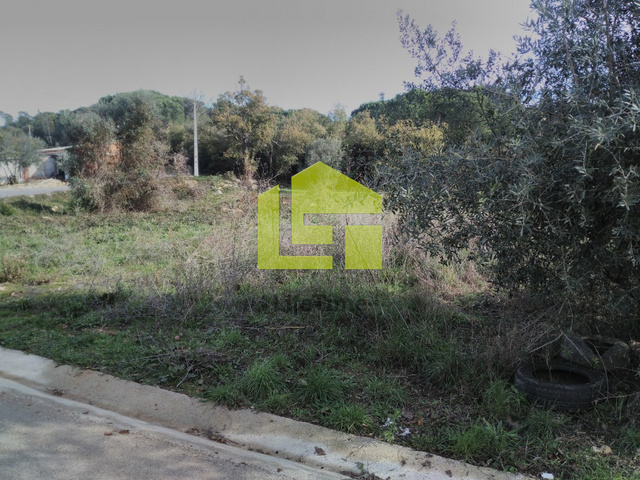 Terreno R�stico - Cernache, Coimbra, Coimbra - Imagem grande
