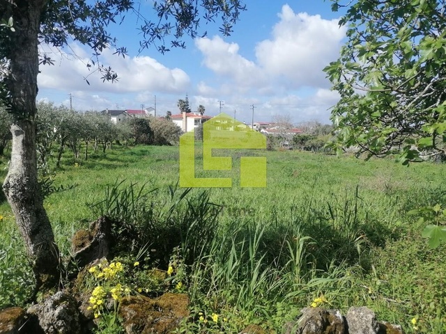 Terreno R�stico - Condeixa-a-Velha, Condeixa-a-Nova, Coimbra - Imagem grande