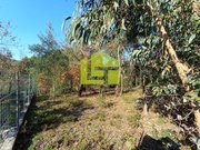 Terreno Rstico - Miranda do Corvo, Miranda do Corvo, Coimbra - Miniatura: 6/9