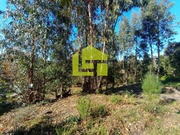 Terreno Rstico - Miranda do Corvo, Miranda do Corvo, Coimbra - Miniatura: 7/9