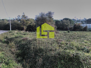Terreno R�stico - Cernache, Coimbra, Coimbra - Miniatura: 3/9
