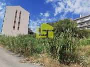 Terreno Rstico - Tavarede, Figueira da Foz, Coimbra - Miniatura: 7/9