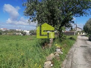 Terreno R�stico - Condeixa-a-Velha, Condeixa-a-Nova, Coimbra - Miniatura: 4/9