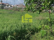 Terreno R�stico - Condeixa-a-Velha, Condeixa-a-Nova, Coimbra - Miniatura: 9/9