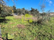 Terreno R�stico - Serpins, Lous�, Coimbra - Miniatura: 2/9