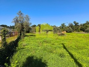 Terreno R�stico - Serpins, Lous�, Coimbra - Miniatura: 4/9