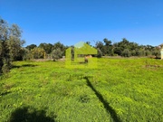 Terreno R�stico - Serpins, Lous�, Coimbra - Miniatura: 5/9