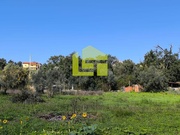 Terreno R�stico - Serpins, Lous�, Coimbra - Miniatura: 6/9