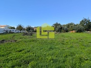 Terreno R�stico - Serpins, Lous�, Coimbra - Miniatura: 7/9