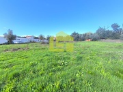 Terreno R�stico - Serpins, Lous�, Coimbra - Miniatura: 9/9