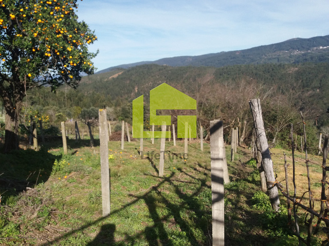 Moradia T0 - Vila Nova, Miranda do Corvo, Coimbra - Imagem grande