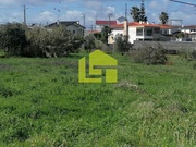 Terreno Rstico - Condeixa-a-Velha, Condeixa-a-Nova, Coimbra - Miniatura: 6/9