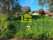 Terreno Rstico - So Martinho do Bispo, Coimbra, Coimbra - Miniatura: 9/9