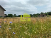 Terreno Rstico - Cernache, Coimbra, Coimbra - Miniatura: 7/9