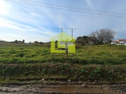 Terreno R�stico - Condeixa-a-Velha, Condeixa-a-Nova, Coimbra - Miniatura: 6/9