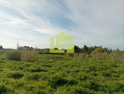 Terreno R�stico - Condeixa-a-Velha, Condeixa-a-Nova, Coimbra - Miniatura: 8/9