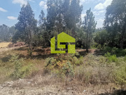 Terreno R�stico - Pombal, Pombal, Leiria - Miniatura: 1/9