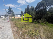 Terreno R�stico - Pombal, Pombal, Leiria - Miniatura: 3/9