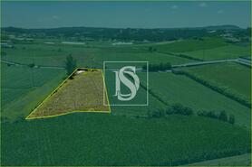 Moradia - Cristelo, Barcelos, Braga - Miniatura: 2/28