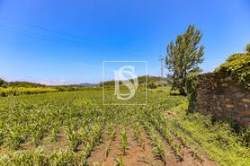 Moradia - Cristelo, Barcelos, Braga - Miniatura: 6/28