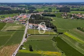 Moradia - Cristelo, Barcelos, Braga - Miniatura: 21/28