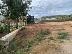 Terreno R�stico - Vila Cova, Barcelos, Braga - Miniatura: 5/16