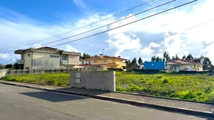 Terreno R�stico - Balazar, P�voa de Varzim, Porto - Miniatura: 5/12