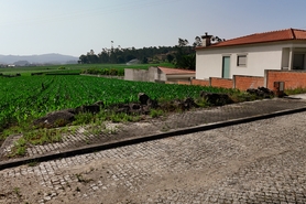 Terreno R�stico - Rio Mau, Vila do Conde, Porto - Miniatura: 21/23
