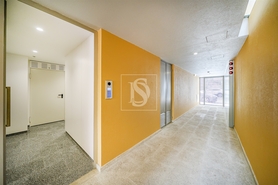 Apartamento T1 - Cedofeita, Porto, Porto - Miniatura: 5/38