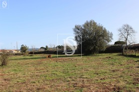 Terreno Rstico T0 - Forjes, Esposende, Braga - Miniatura: 6/22
