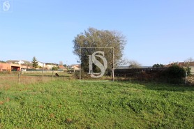 Terreno Rstico T0 - Forjes, Esposende, Braga - Miniatura: 13/22