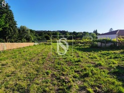 Terreno R�stico T0 - Forj�es, Esposende, Braga - Miniatura: 2/7