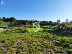 Terreno R�stico T0 - Forj�es, Esposende, Braga - Miniatura: 5/7