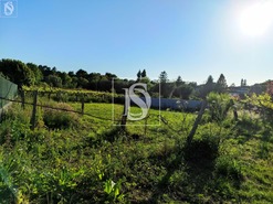 Terreno R�stico T0 - Forj�es, Esposende, Braga - Miniatura: 6/7