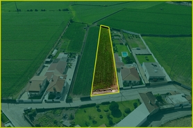 Terreno R�stico - Rio Mau, Vila do Conde, Porto - Miniatura: 23/23